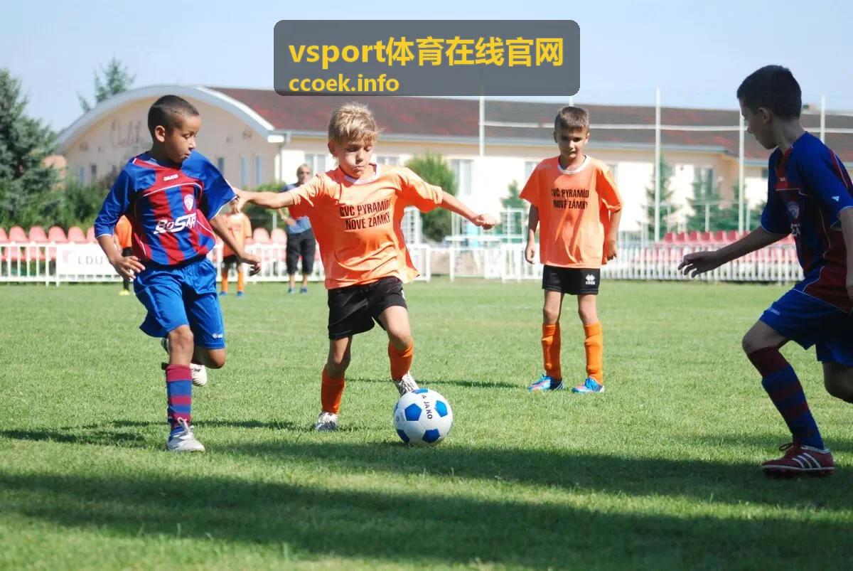 vsport体育在线官网 数据解读封面